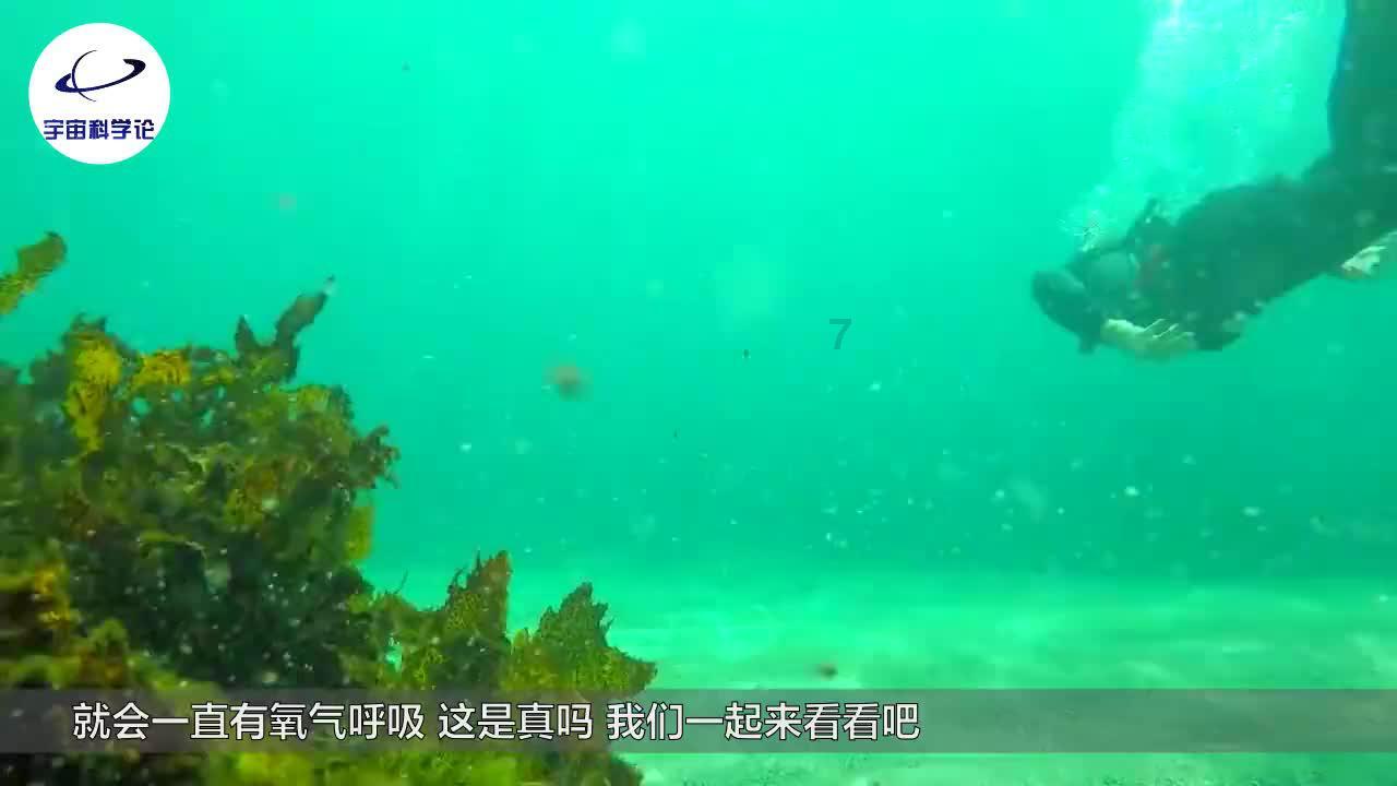 「探索研究知识星球平台-如果你发一张你认为很好看的照片,没有人评价,你会怎么办?」