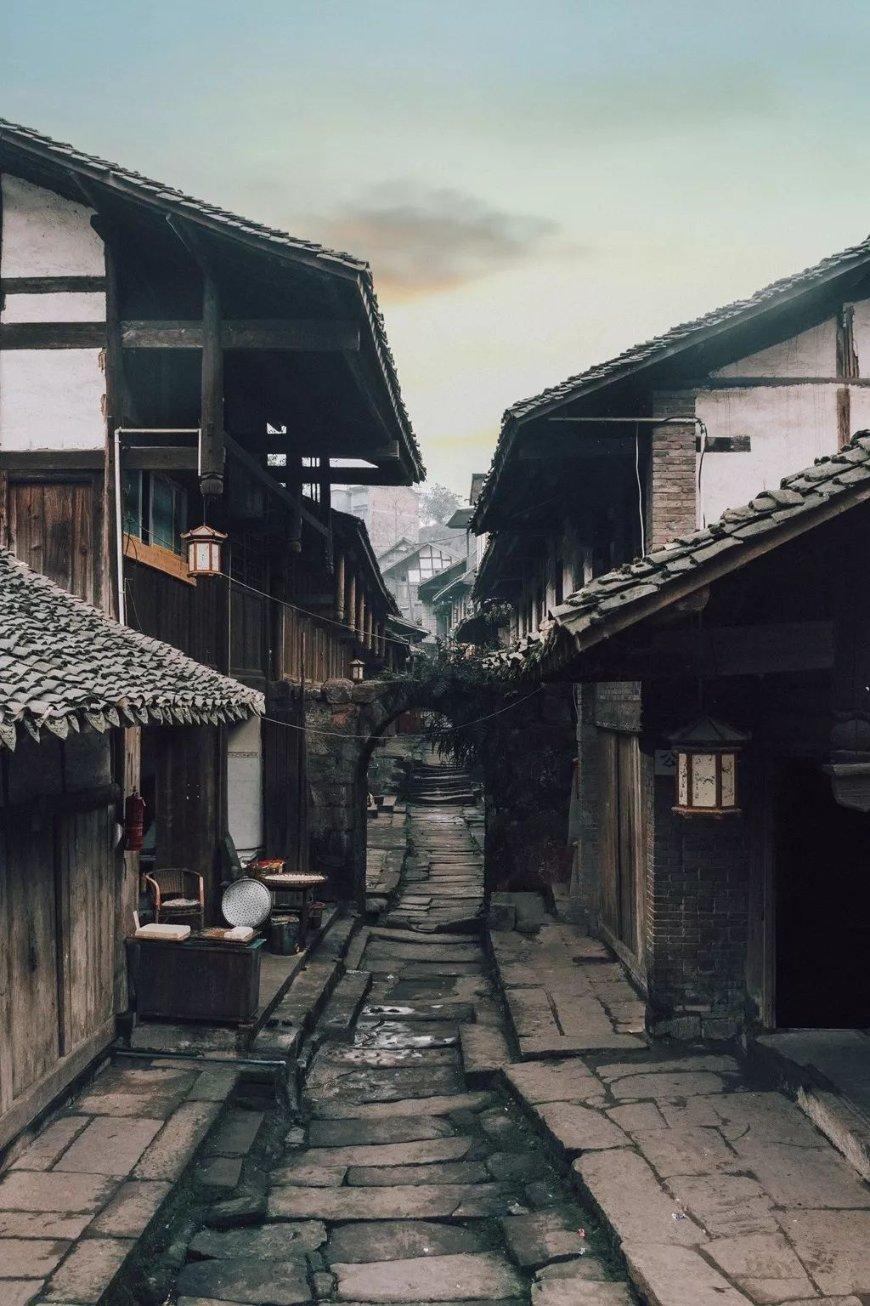 创作猫